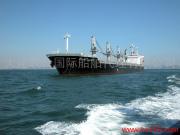 提供大连港-吉布提港国际海运物流服务