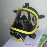 供应全面罩，呼吸器面罩，防毒面罩