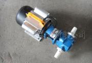 16.齿轮油泵/微型齿轮输油泵/润滑油泵