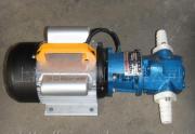 18.齿轮油泵/微型齿轮输油泵/润滑油泵