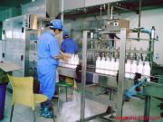供应蛋白奶饮料灌装机 饮料灌装机